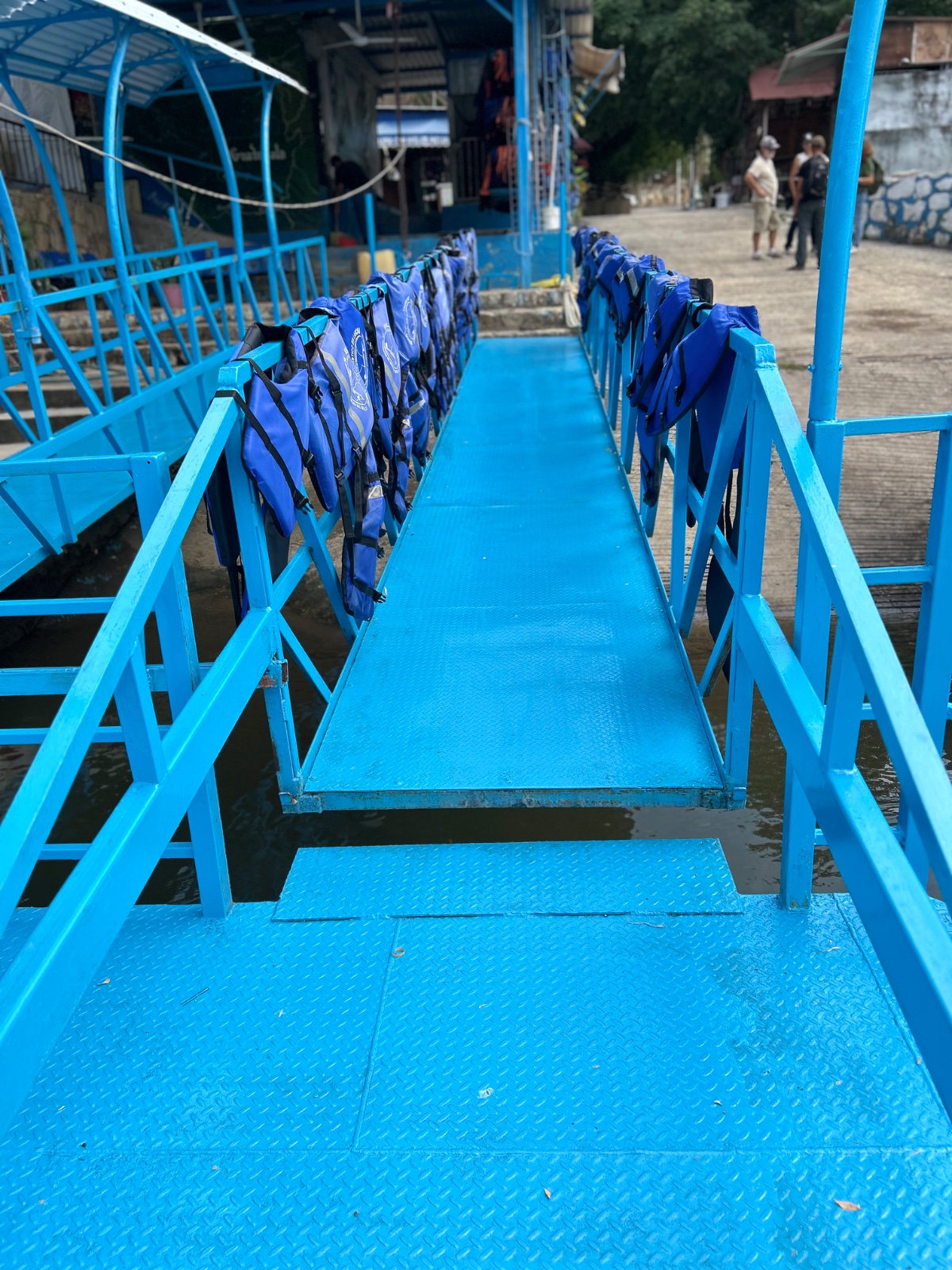 Slide 6